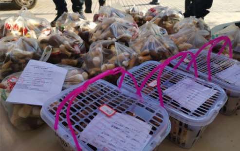 马边荍坝乡水平溪村开具了食用农产品合格证的大球盖菇